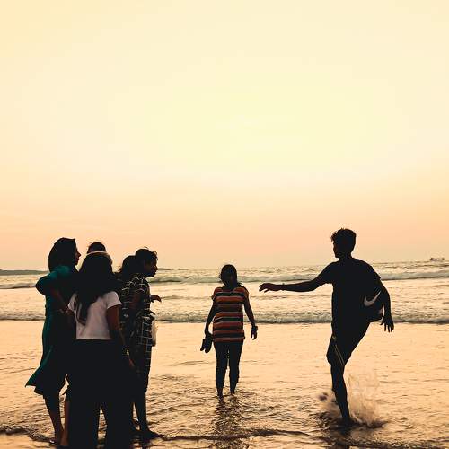 Photo #7380487