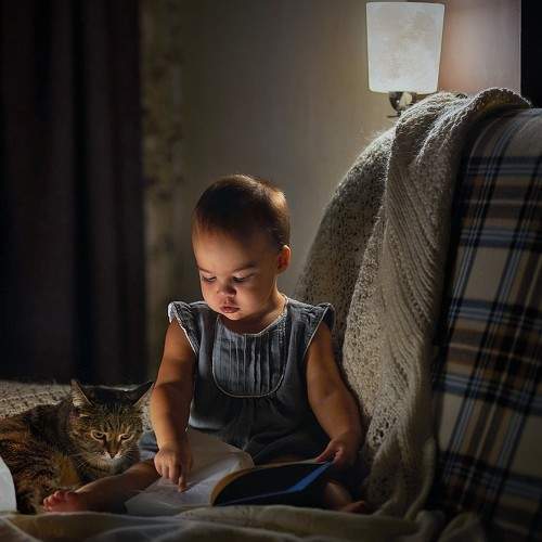 Photo #7380584