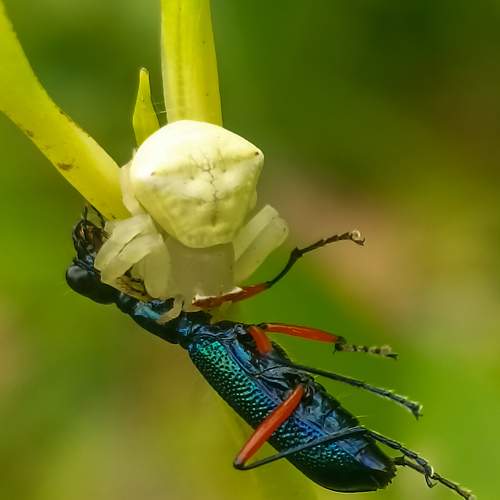 Eating