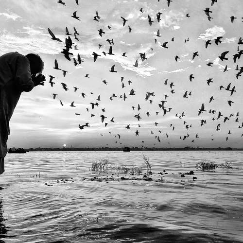 Photo #7380677
