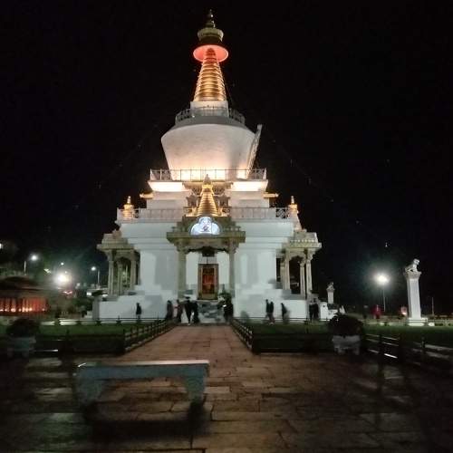 Photo #7380854