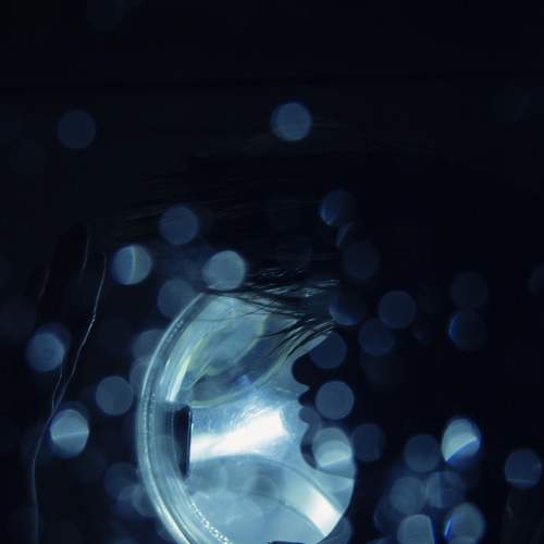 Photo #7380888