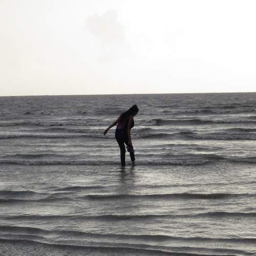 Photo #7380908