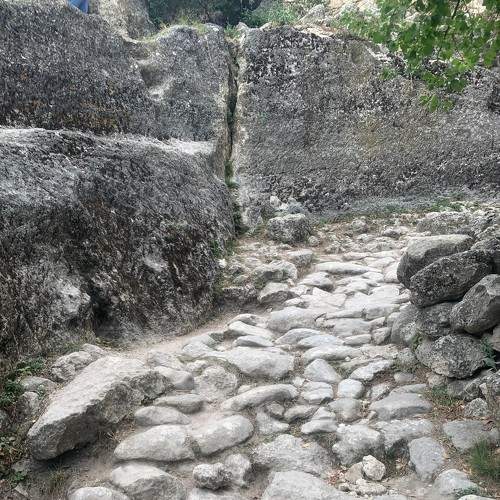 Photo #7381196