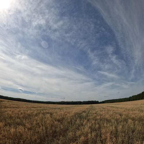 Photo #7381252