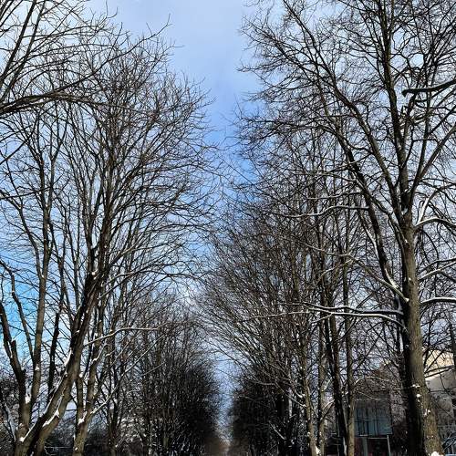 sunny winter day