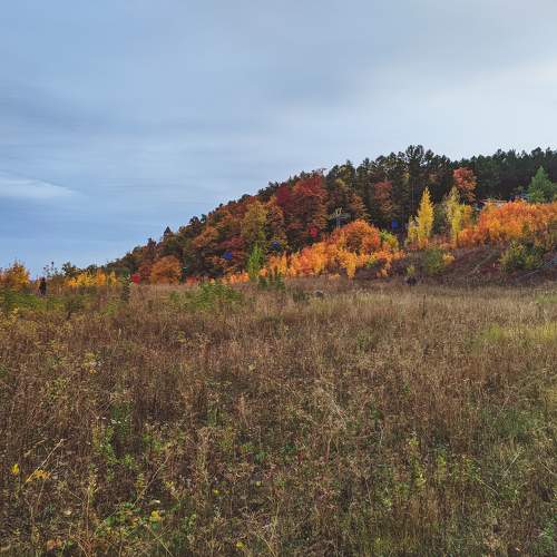 Photo #7381541