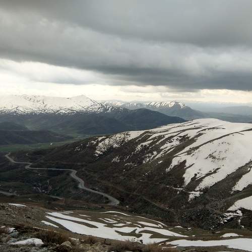 Photo #7381957