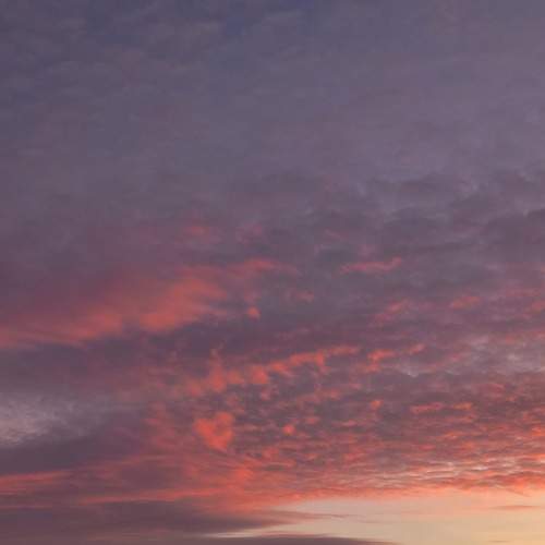 Photo #7381987