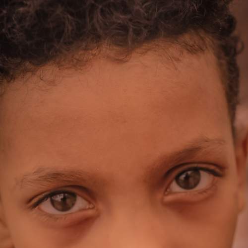 Photo #7382312