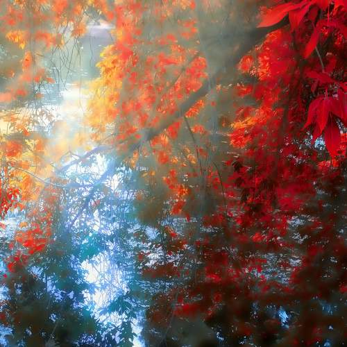 Photo #7382321