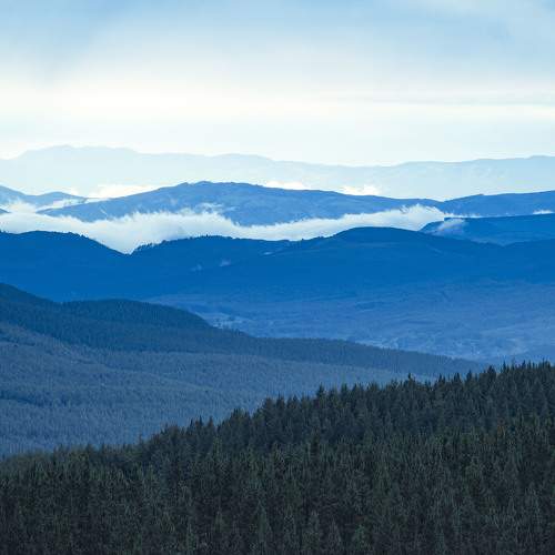 Photo #7382458
