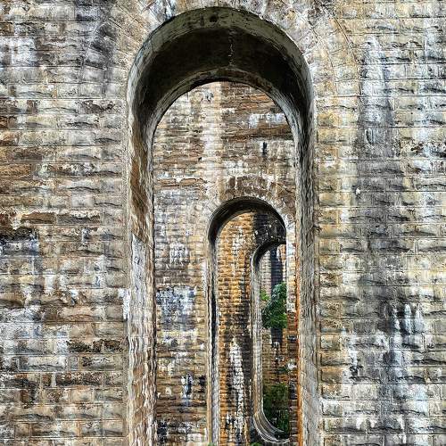 Фотография #7382637