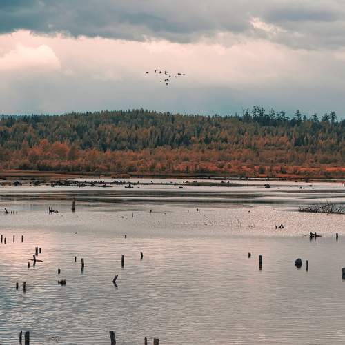 Photo #7382651