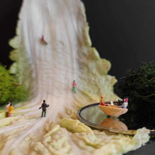 Photo #7382703