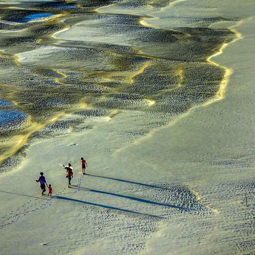 Photo #7383036
