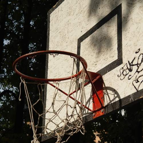 Photo #7383478