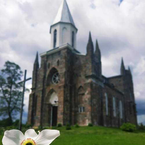 Photo #7383506