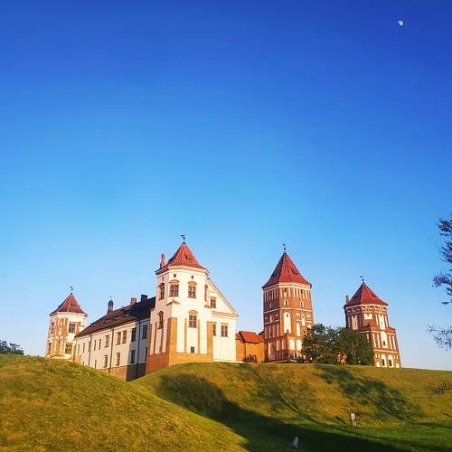 Photo #7383554