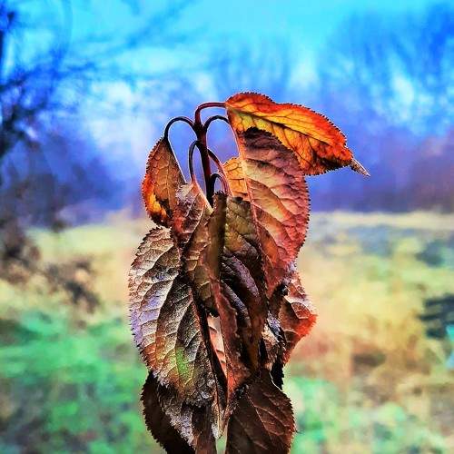 Photo #7383646