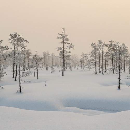 Photo #7383683