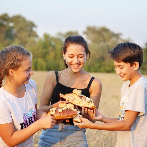 Photo #7383833