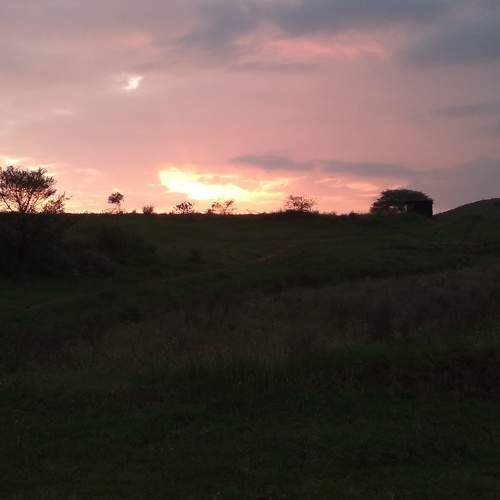 Photo #7383945