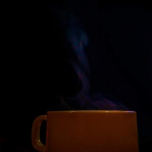 Photo #7383988