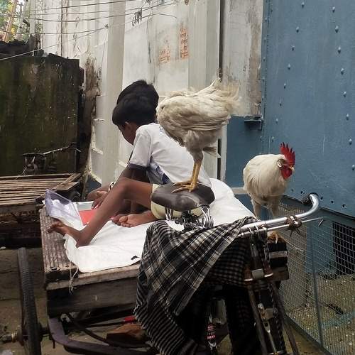 Photo #7383993