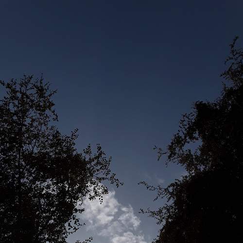 Photo #7384006