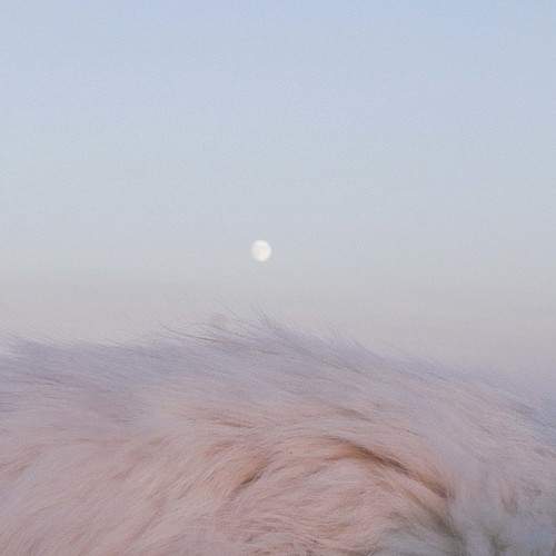 Photo #7384171