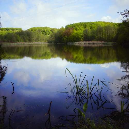 Photo #7384361