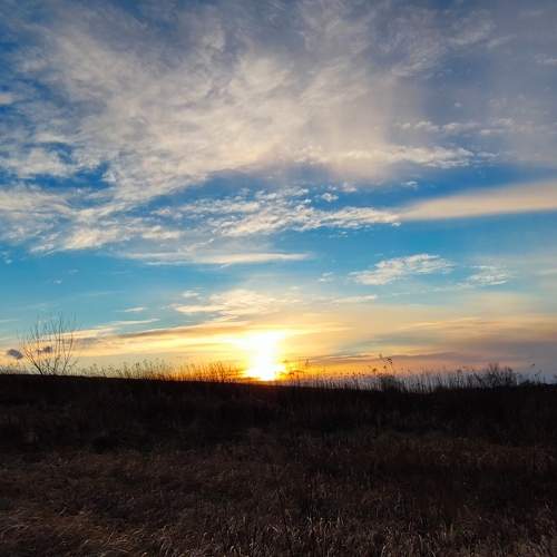 Photo #7384391