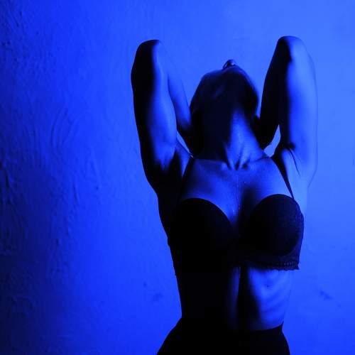 Photo #7385048