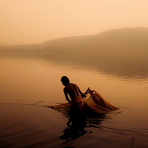 Photo #7385151