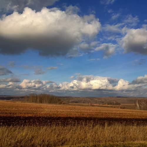 Photo #7385203