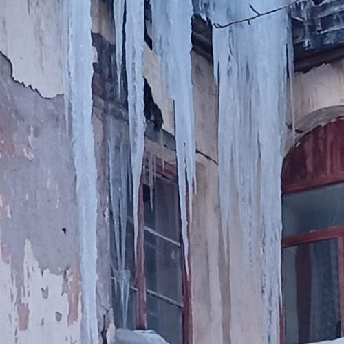 Photo #7385297