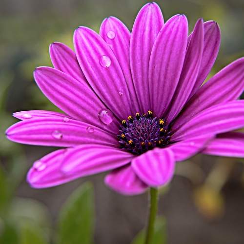 Photo #7385759