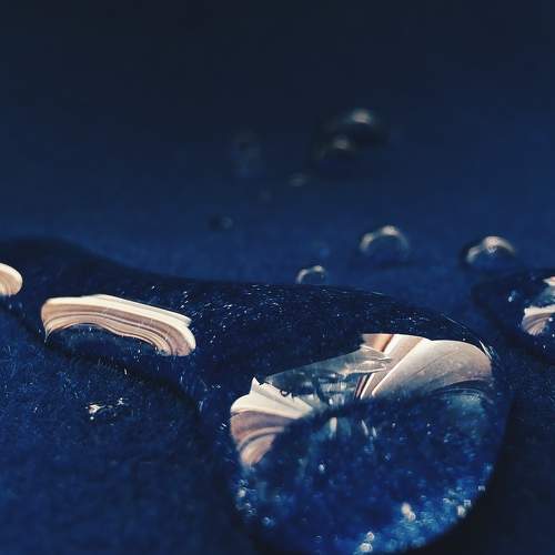 Photo #7385769