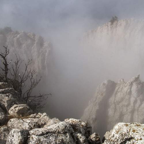 Photo #7385818