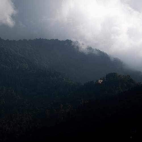 Photo #7386223