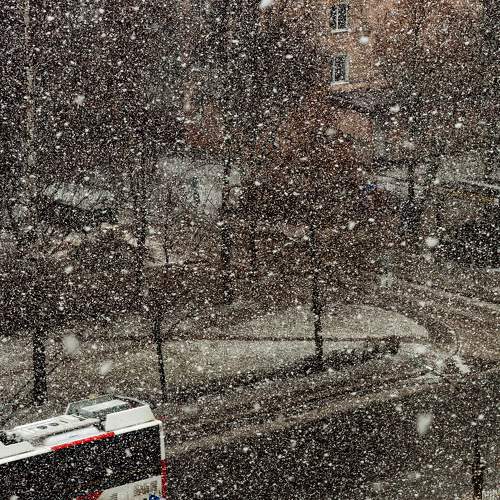 Snowy in Ukraine