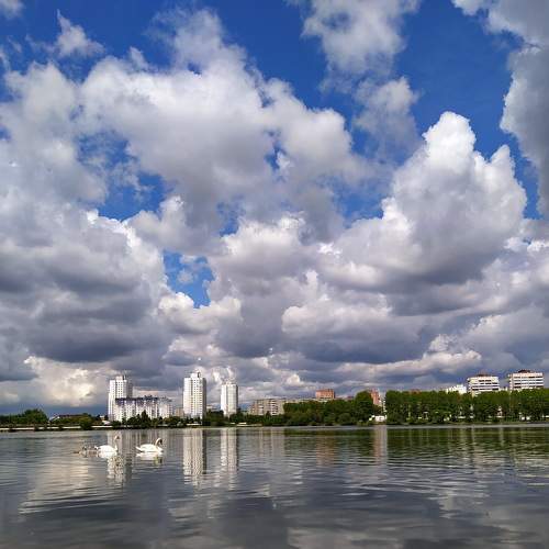 Photo #7386397