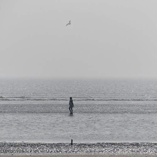 Photo #7386510