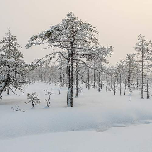 Photo #7386822