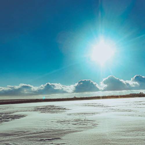 Photo #7386842