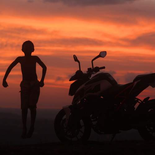Photo #7386873