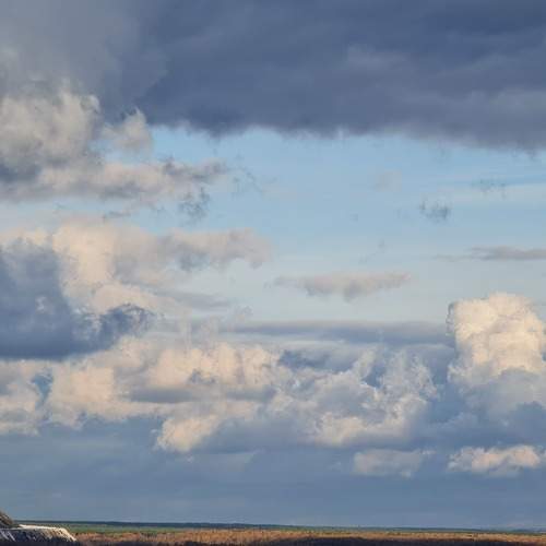 Photo #7387128