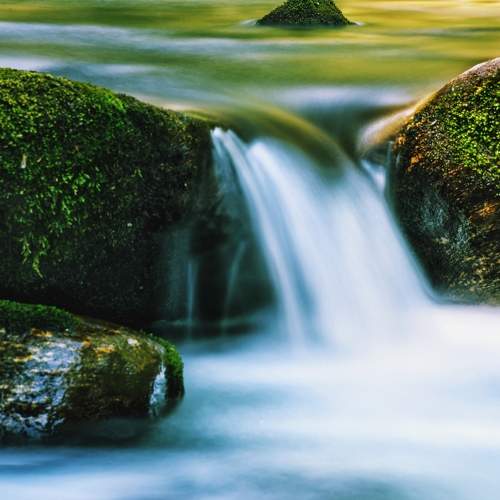 The Source Of Life