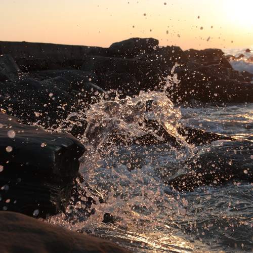 Photo #7387707